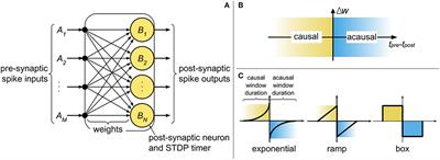 Memory-Efficient Synaptic Connectivity for Spike-Timing- Dependent Plasticity